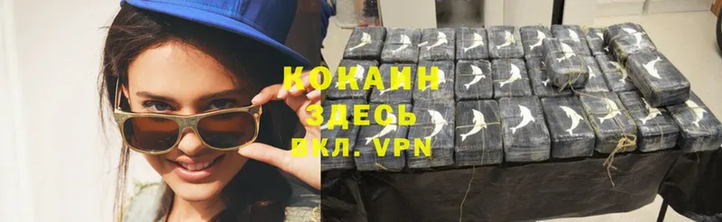 маркетплейс клад  hydra   Новосибирск  Cocaine Эквадор 